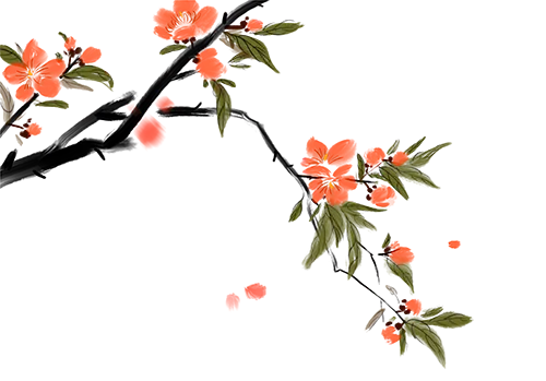 d86a0fe2-cd3c-42fc-a127-a6b3ddb2f26c.png