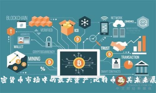 加密货币市场中的最大资产：比特币及其未来展望