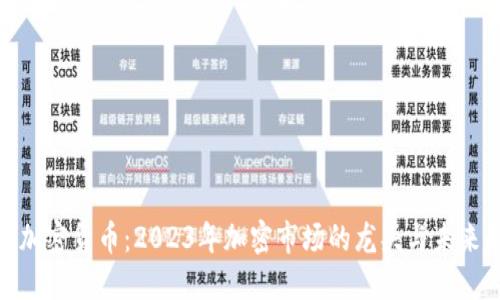 最大加密货币：2023年加密市场的龙头与未来趋势